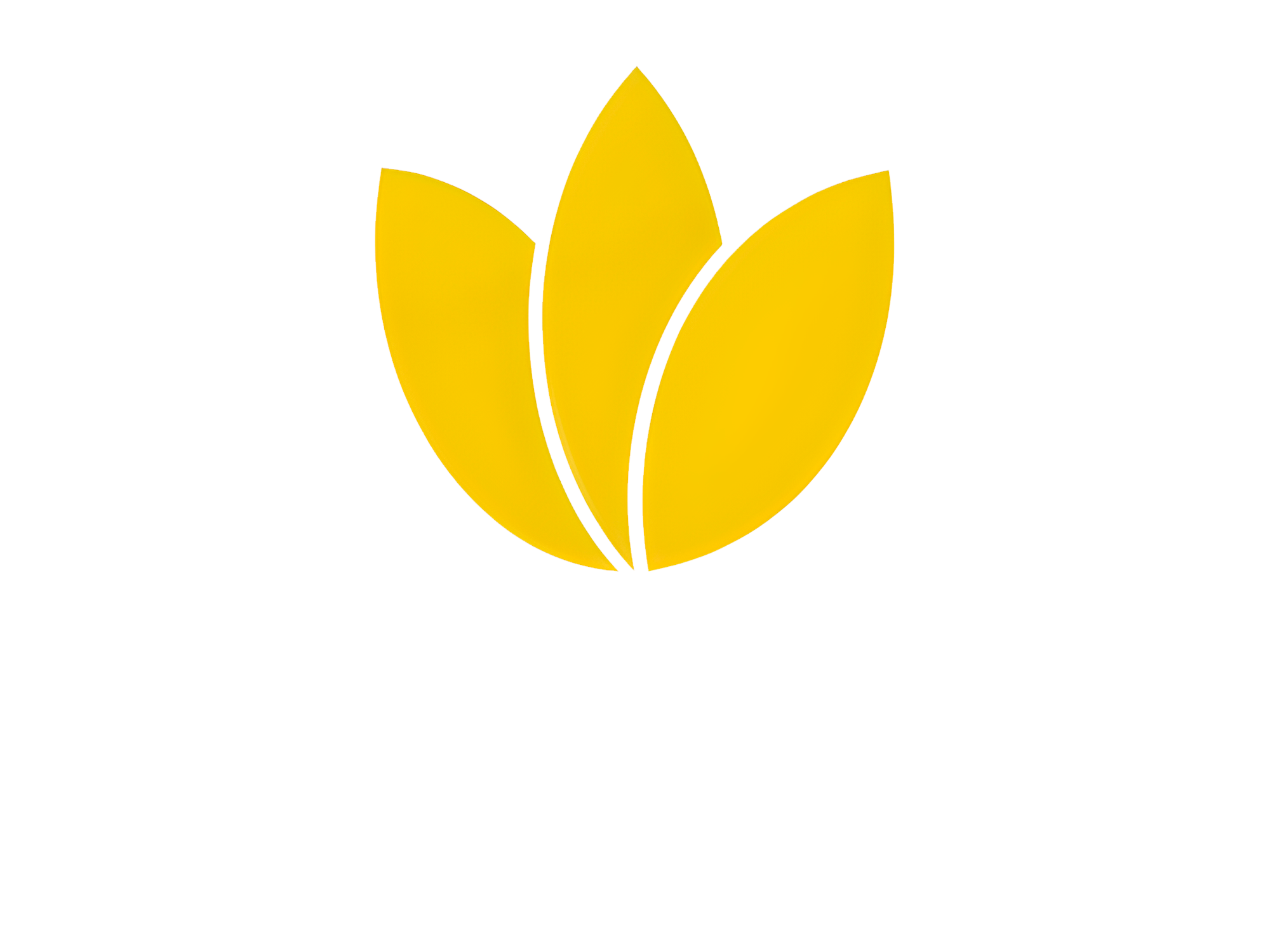 Barnsley Logo